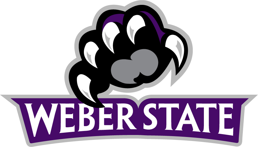 Weber State Wildcats 2012-Pres Secondary Logo v3 diy DTF decal sticker